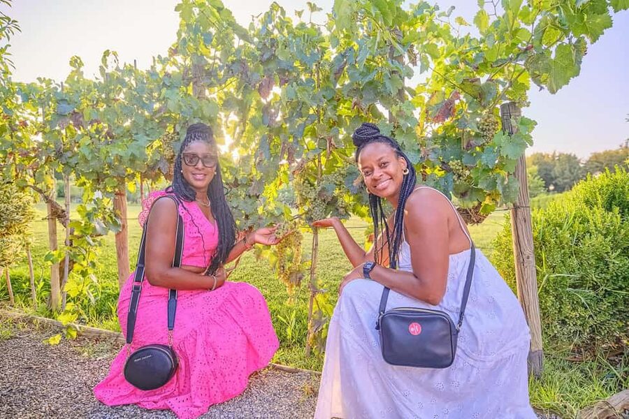 From Florence: Wine Tasting and Dinner in Chianti Vineyards - What the guide adds to the day