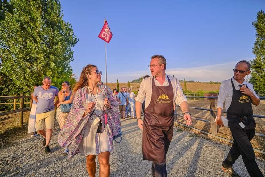 From Florence: Wine Tasting and Dinner in Chianti Vineyards - Who will enjoy this Chianti outing?