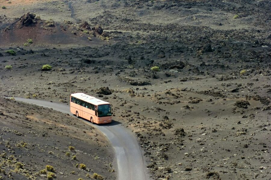 From Fuerteventura: Lanzarote Volcano and Wine Region Tour - Who should book this tour?