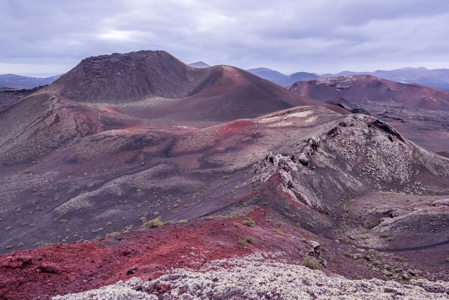 From Fuerteventura: Lanzarote Volcano and Wine Region Tour - The aloe vera stop is useful, but not really a museum visit