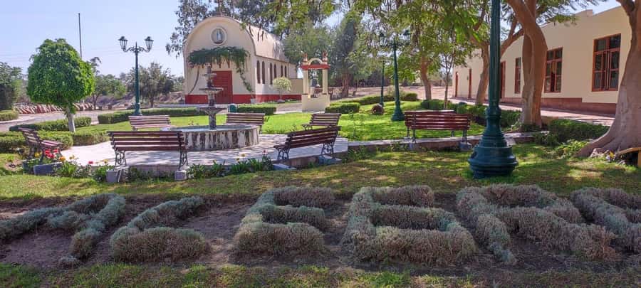 From Ica or Huacachina: Tour to Tacama Vineyard and Artisanal Winery. - Key points at a glance