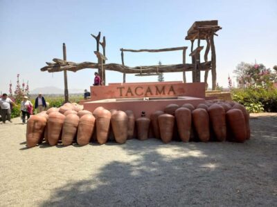 From Ica or Huacachina: Tour to Tacama Vineyard and Artisanal Winery.