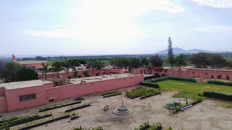 From Ica or Huacachina: Tour to Tacama Vineyard and Artisanal Winery. - Simple ways to make the day better