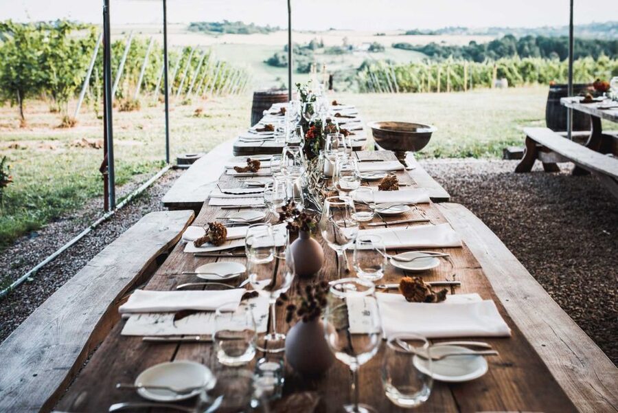 From Krakow: Wine Tasting at Vineyard - Should you book the Krakow vineyard visit?