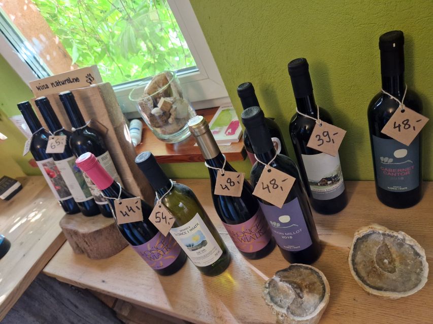 From Krakow: Wine Tasting at Vineyard - Walking through the organic farm