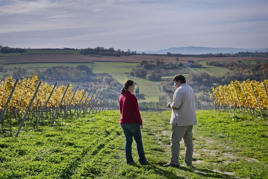 From Krakow: Wine Tasting at Vineyard - Who will enjoy this outing most