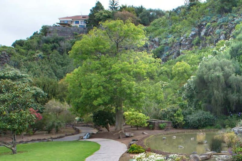 From Las Palmas: Half day tour Volcano Bandama & Vineyard - A half-day route with three very different stops