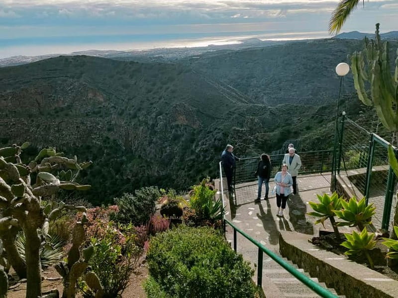 From Las Palmas: Half day tour Volcano Bandama & Vineyard - Seeing Bandama’s volcanic crater and views
