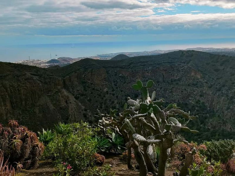 From Las Palmas: Half day tour Volcano Bandama & Vineyard - Walking through Gran Canaria’s botanical garden