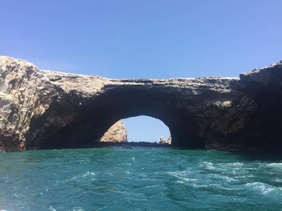 From Lima: Ballestas Islands, Huacachina, and Vineyard Tour - Guides, language, and group feel