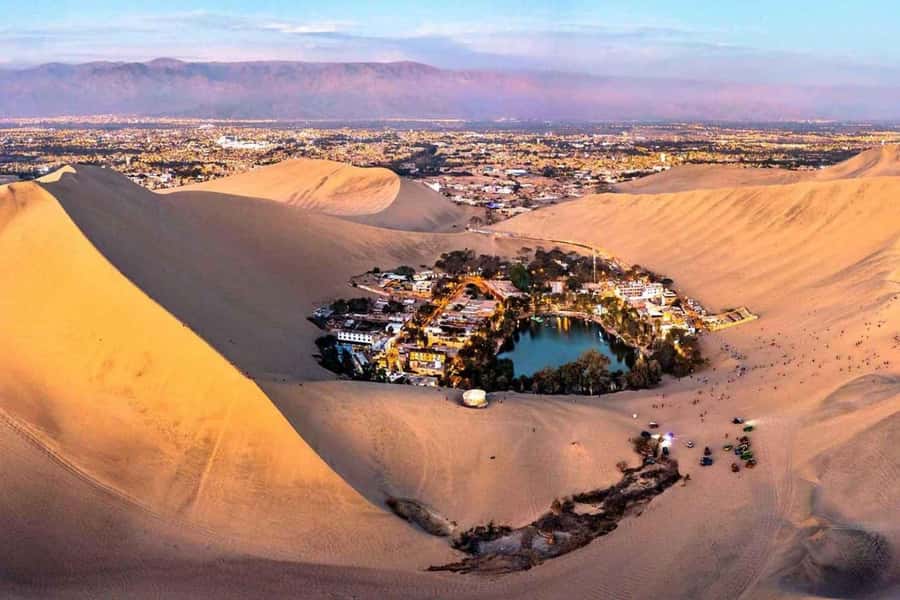From Lima: Ballestas Islands, Huacachina and Wine Route Trip - The Ballestas boat ride from Paracas