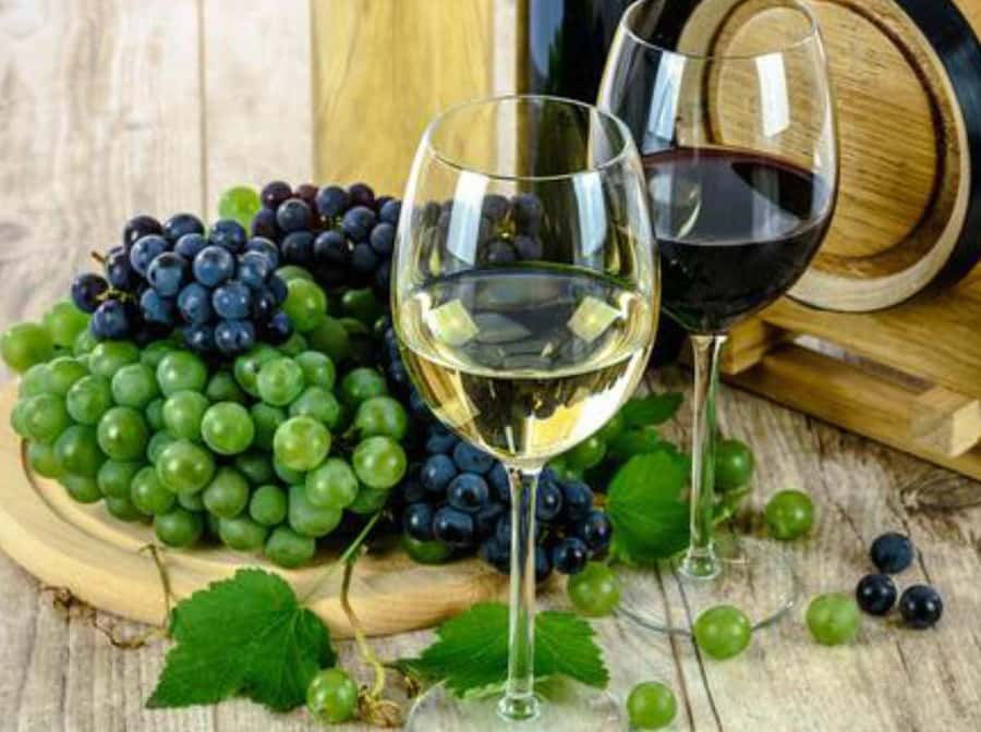 From Lima: Ballestas Islands, Huacachina and Wine Route Trip - Lunch, wine, and pisco in Ica