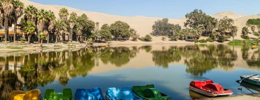 From Lima: Ballestas Islands, Huacachina and Wine Route Trip - What the $70 price really covers