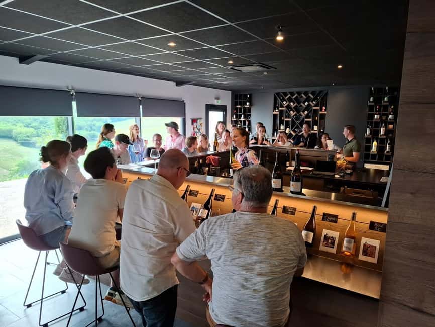 From Lyon: Beaujolais Wine Route Half-Day Tour - Château de Pizay and its 12-wine tasting