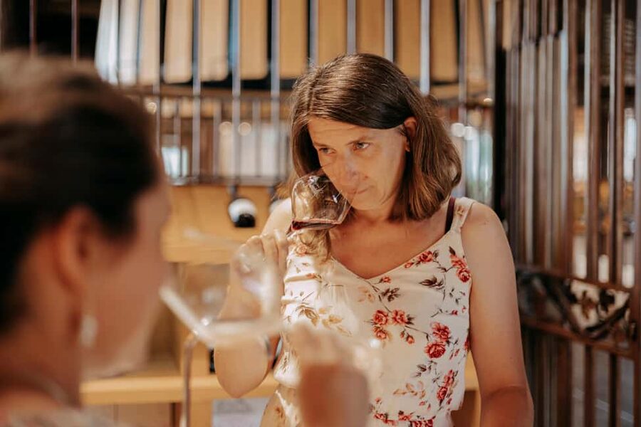 From Lyon: Beaujolais Wine Route Half-Day Tour - Who will enjoy this half-day tour?