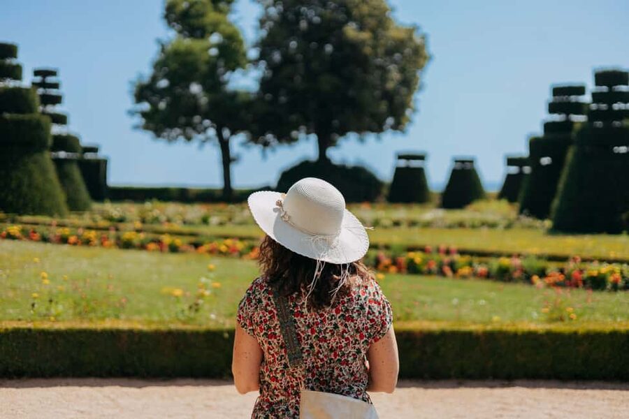 From Lyon: Beaujolais Wine Route Half-Day Tour - Should you book it?