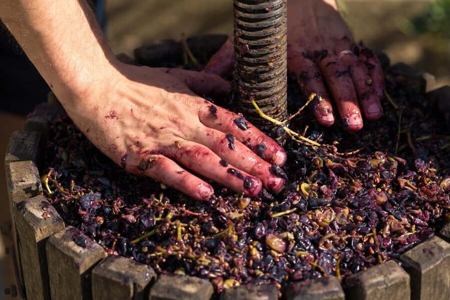 From Madrid to Ribera del Duero: Hidden Vineyards and Towns - Peñafiel and its dramatic castle