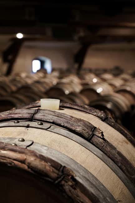 From Madrid to Ribera del Duero: Hidden Vineyards and Towns - Family cellars and older winemaking methods