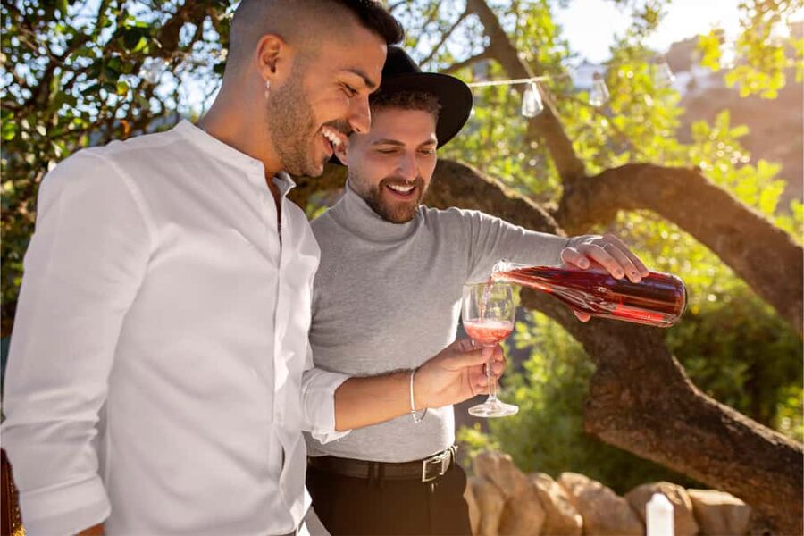 From Madrid to Ribera del Duero: Hidden Vineyards and Towns - What the $152 price means