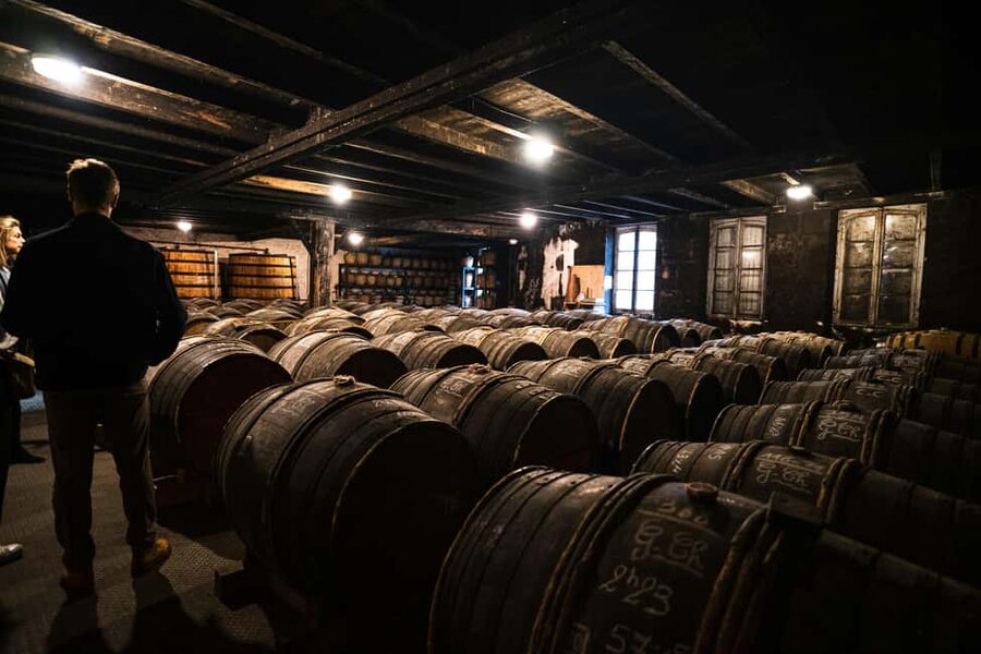 From Madrid to Ribera del Duero: Hidden Vineyards and Towns - Who will enjoy this day most