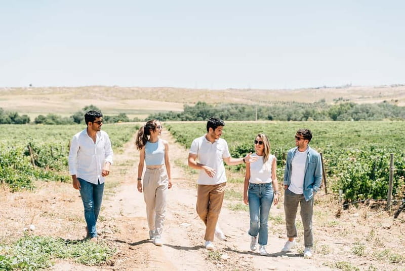 From Madrid: Toledo Guided Tour & Winery Visit with Tasting - The Cathedral and 105 minutes of free time