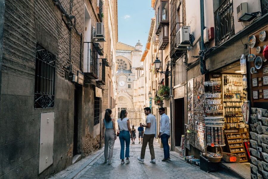 From Madrid: Toledo Guided Tour & Winery Visit with Tasting - Inside the cellar and vineyard
