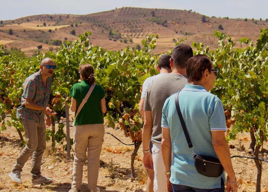 From Madrid: Visit Cuenca and a vineyard in the Spanish Tuscany - The Spanish Tuscany vineyard