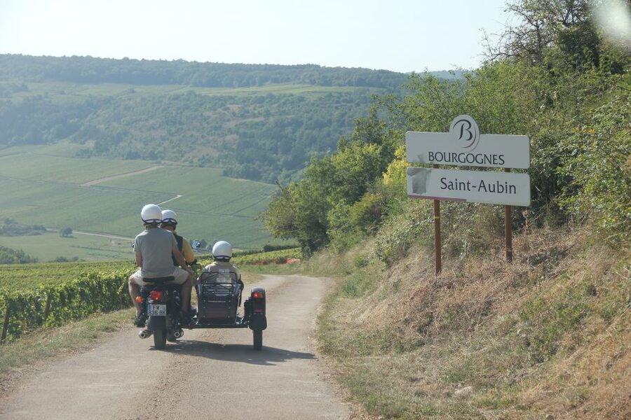 From Meursault: Private Sidecar Tour & Vineyard Wine Tasting - Reading Burgundy from the road