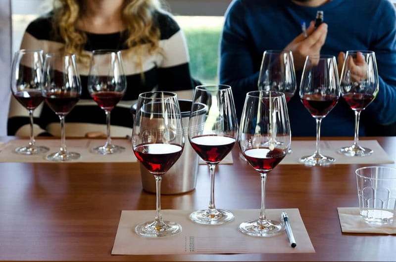 From Milan: Langhe Wine Region Day Trip with Barolo Tasting - Should you book the Langhe day trip from Milan?