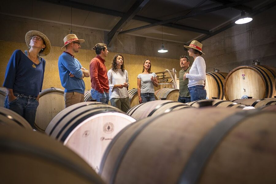 From Montpellier: Half-Day Vineyard & Pic Saint-Loup Tour - FAQ