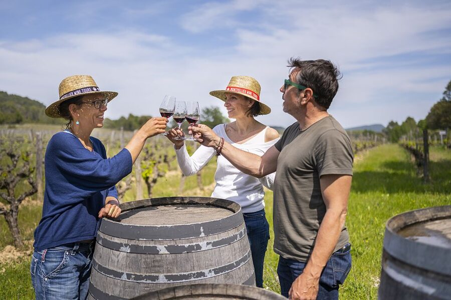 From Montpellier: Half-Day Vineyard & Pic Saint-Loup Tour - The first estate: from vines to finished wine