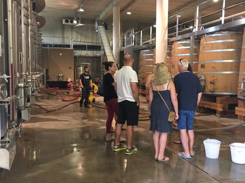 From Montpellier: Half-Day Vineyard & Pic Saint-Loup Tour - What the guide adds to the afternoon