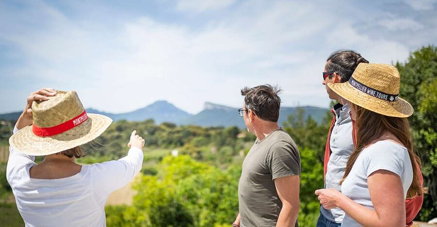 From Montpellier: Half-Day Vineyard & Pic Saint-Loup Tour - Is $93 a fair price?