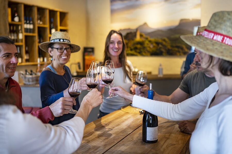 From Montpellier: Half-Day Vineyard & Pic Saint-Loup Tour - Who will enjoy this most?