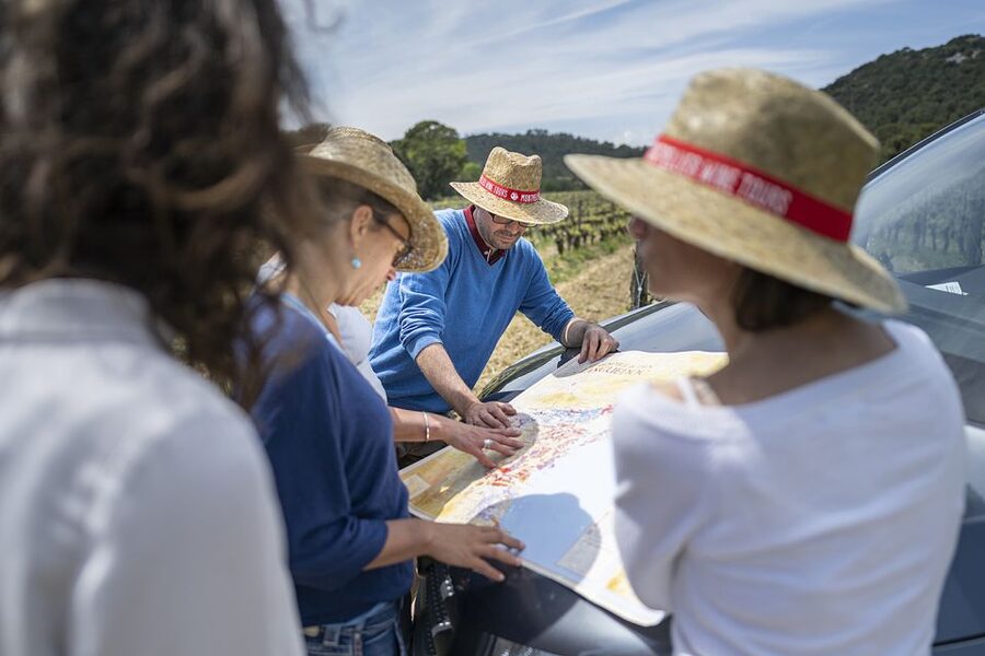 From Montpellier: Half-Day Vineyard & Pic Saint-Loup Tour - Timing, meeting point, and cancellation