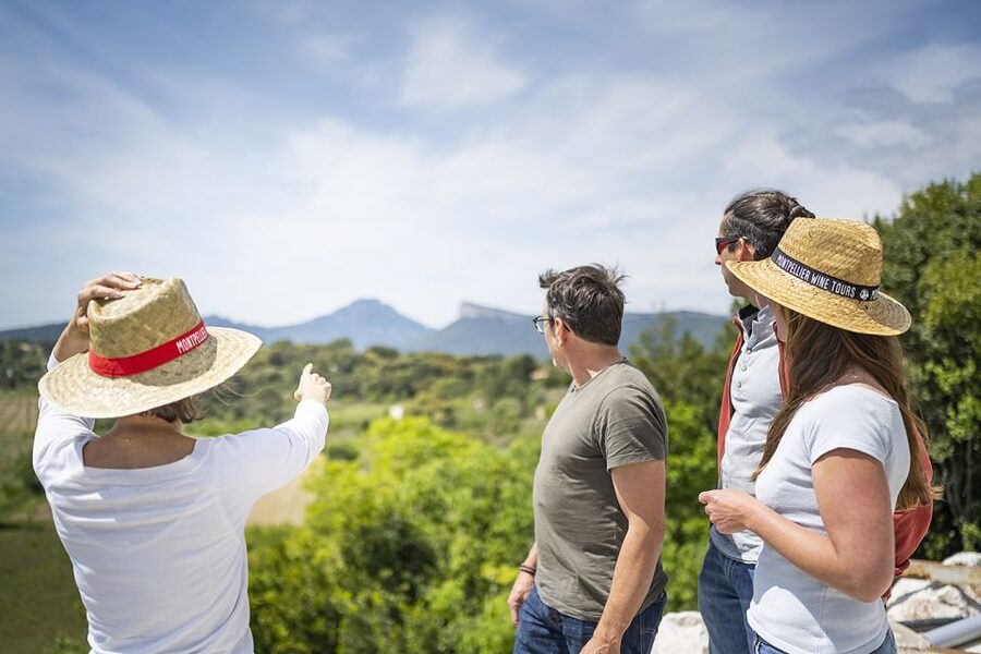 From Montpellier: Half-Day Vineyard & Pic Saint-Loup Tour - Should you book this Pic Saint-Loup tour?