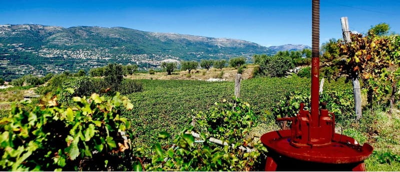From Nice: Half-Day Wine Tour in the Bellet Wine Region - The 30-minute ride into the Bellet hills