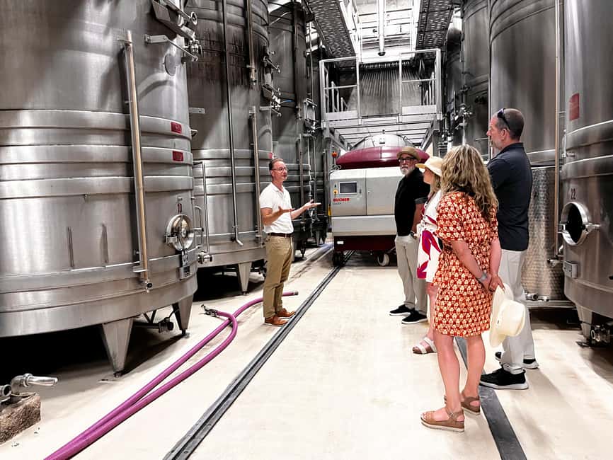 From Nice: Half-Day Wine Tour in the Bellet Wine Region - What you learn about French wine