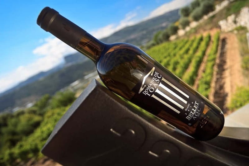 From Nice: Half-Day Wine Tour in the Bellet Wine Region - Who will enjoy this half-day outing?