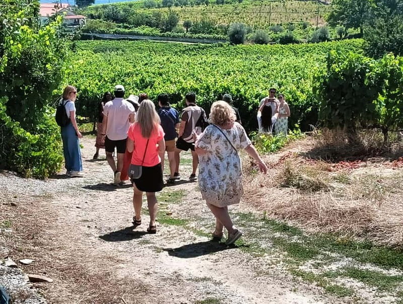 From Porto: 2 Wine Regions, Farm Lunch, and Boat Ride - Pinhão and the 50-minute river cruise