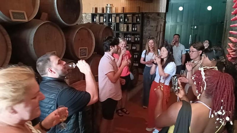 From Porto: 2 Wine Regions, Farm Lunch, and Boat Ride - The São Cristóvão viewpoint