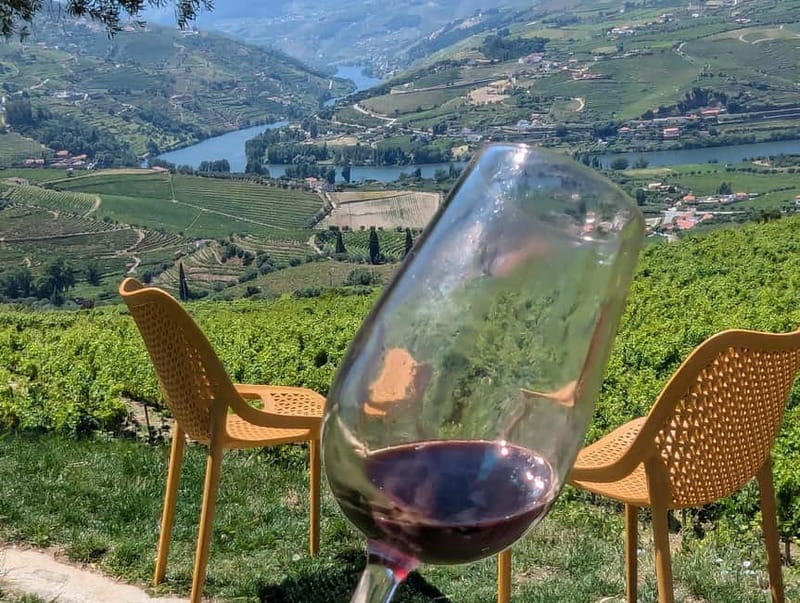 From Porto: 2 Wine Regions, Farm-to-Table Lunch & Boat - Who will enjoy this day most?