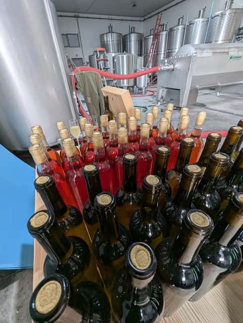 From Porto: 2 Wine Regions, Farm-to-Table Lunch & Boat - A Douro estate with views and a real meal