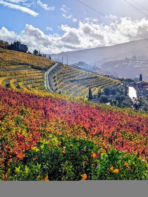 From Porto: 2 Wine Regions, Farm-to-Table Lunch & Boat - Is $94 a good price?