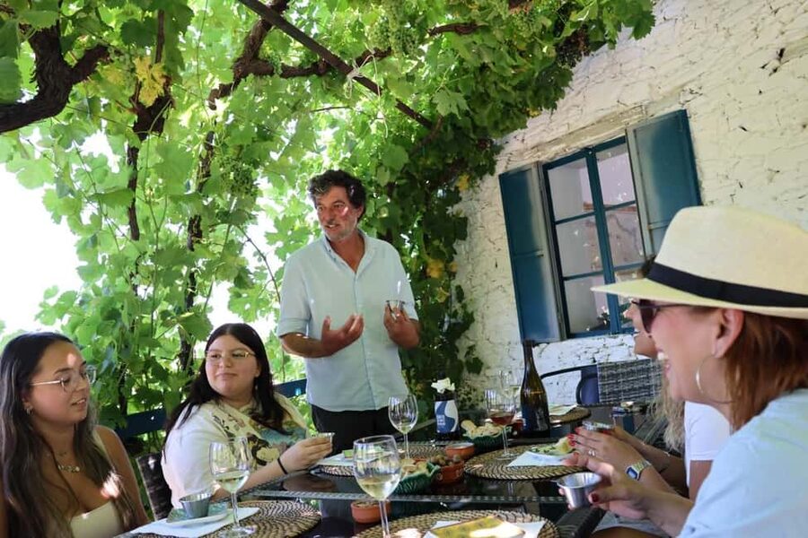 From Porto : Douro Valley sightseeing with 1 Winery Visit - The winery visit and what you actually taste