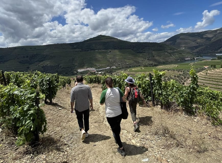 From Porto : Douro Valley sightseeing with 1 Winery Visit - Pinhão gives you a real choice