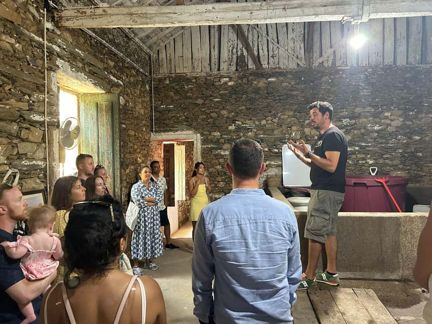 From Porto : Douro Valley sightseeing with 1 Winery Visit - The scenic drive along the N222