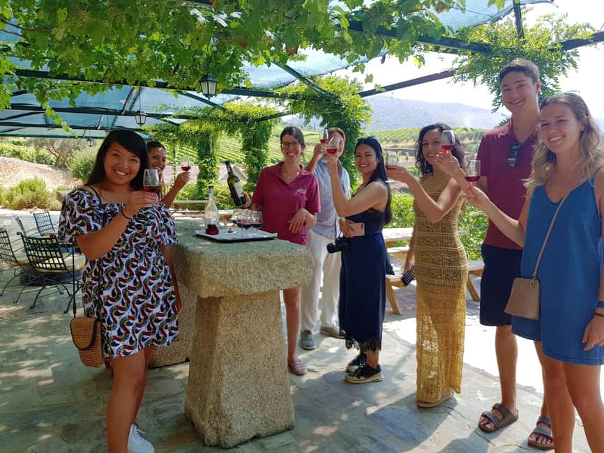 From Porto: Premium Douro Valley 4 Vineyards Tour with Lunch - Key points at a glance