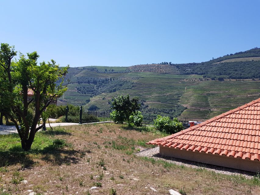 From Porto: Premium Douro Valley 4 Vineyards Tour with Lunch - Who should book this experience