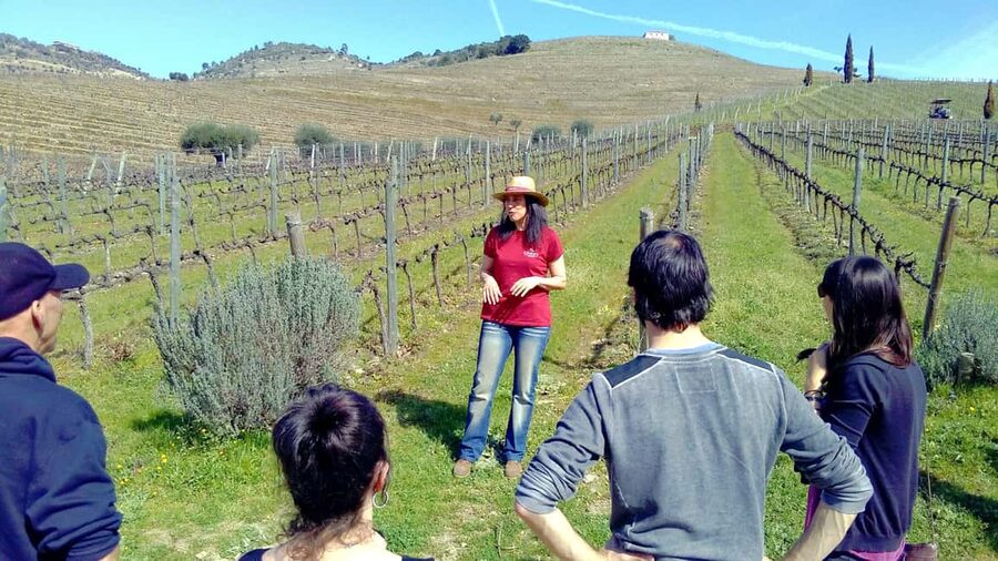 From Porto: Premium Douro Valley 4 Vineyards Tour with Lunch - First tasting: a smaller vineyard introduction